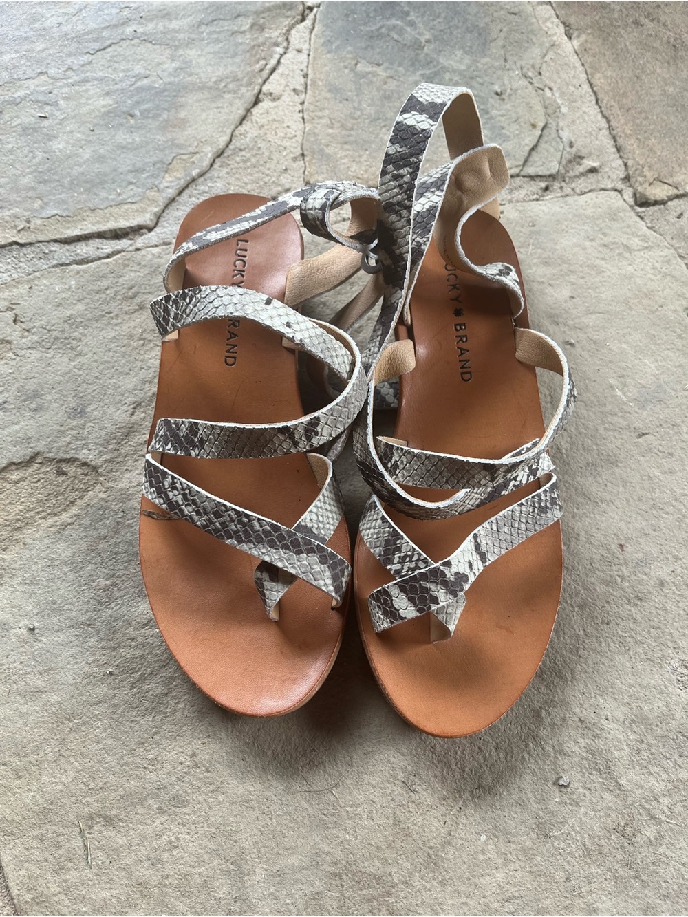 Lucky Brand Women's Snake-Print Strappy Sandals in Brown and Gray